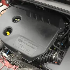 Silnik Duratorq TDCi w Fordzie Focusie MK3 1.6 TDCI. Widoczna osłona silnika, zbiornik płynu chłodniczego i elementy układu dolotowego.